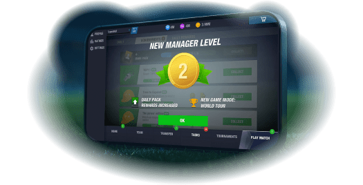 Upgrade your Manager and team levels