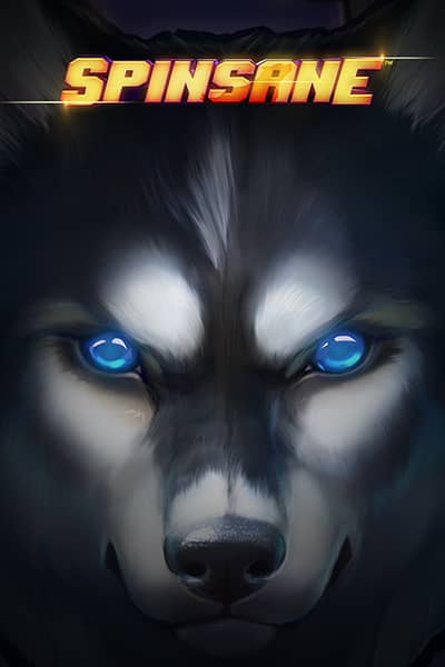 Spinsane