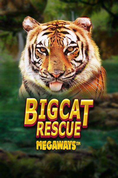 Big Cat Rescue Megaways