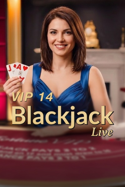 VIP Blackjack 14