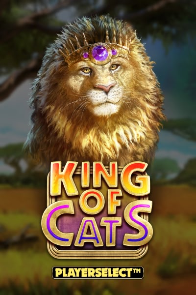 King of Cats
